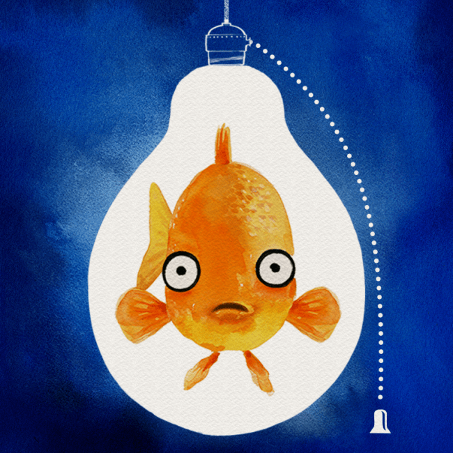 Fish in the Dark - Cast