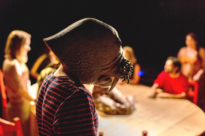 Photography by Matthew Wells